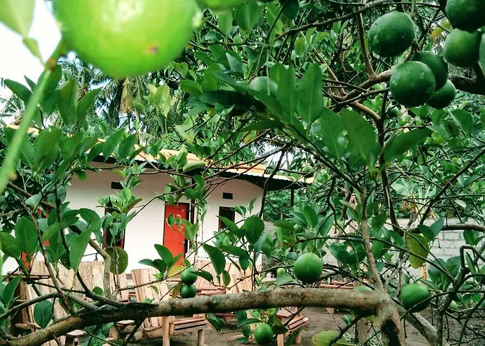 Séjour chez l'habitant Safsia *